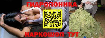 a pvp Лесосибирск