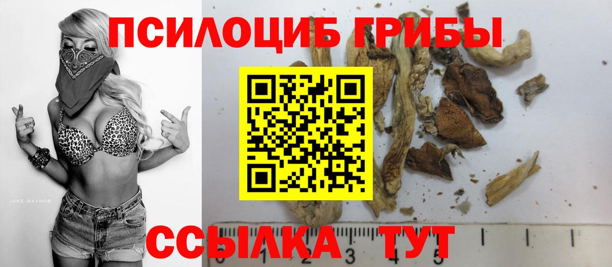 Псилоцибиновые грибы мицелий Ярославль
