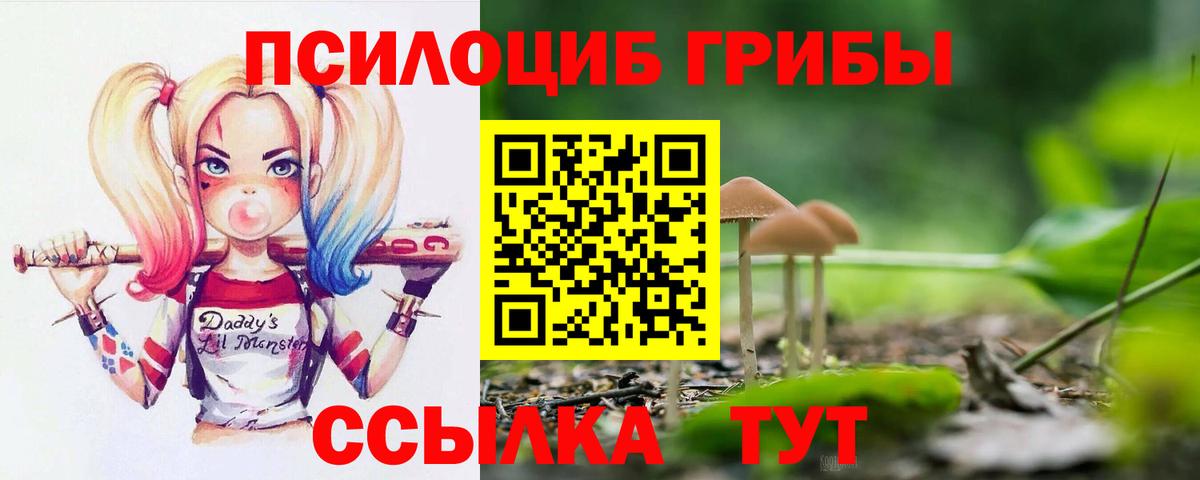 Псилоцибиновые грибы Cubensis  Вход с VPN  Ярославль 